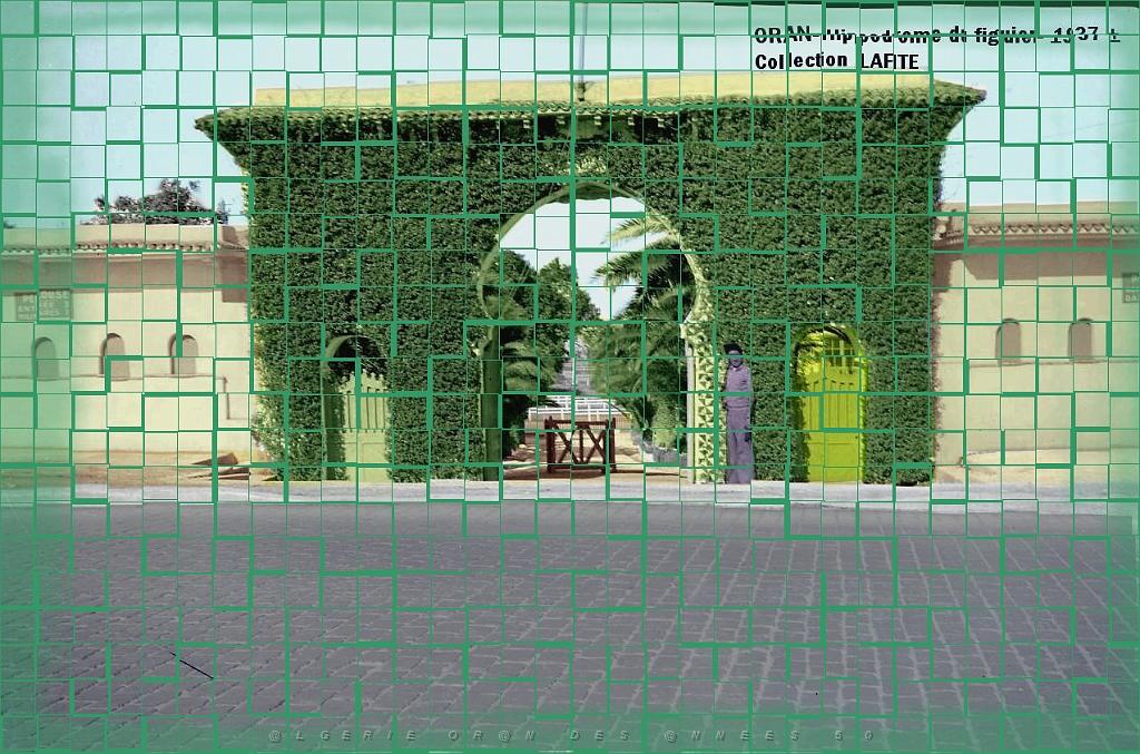 Oran- Le figuier 13a.jpg